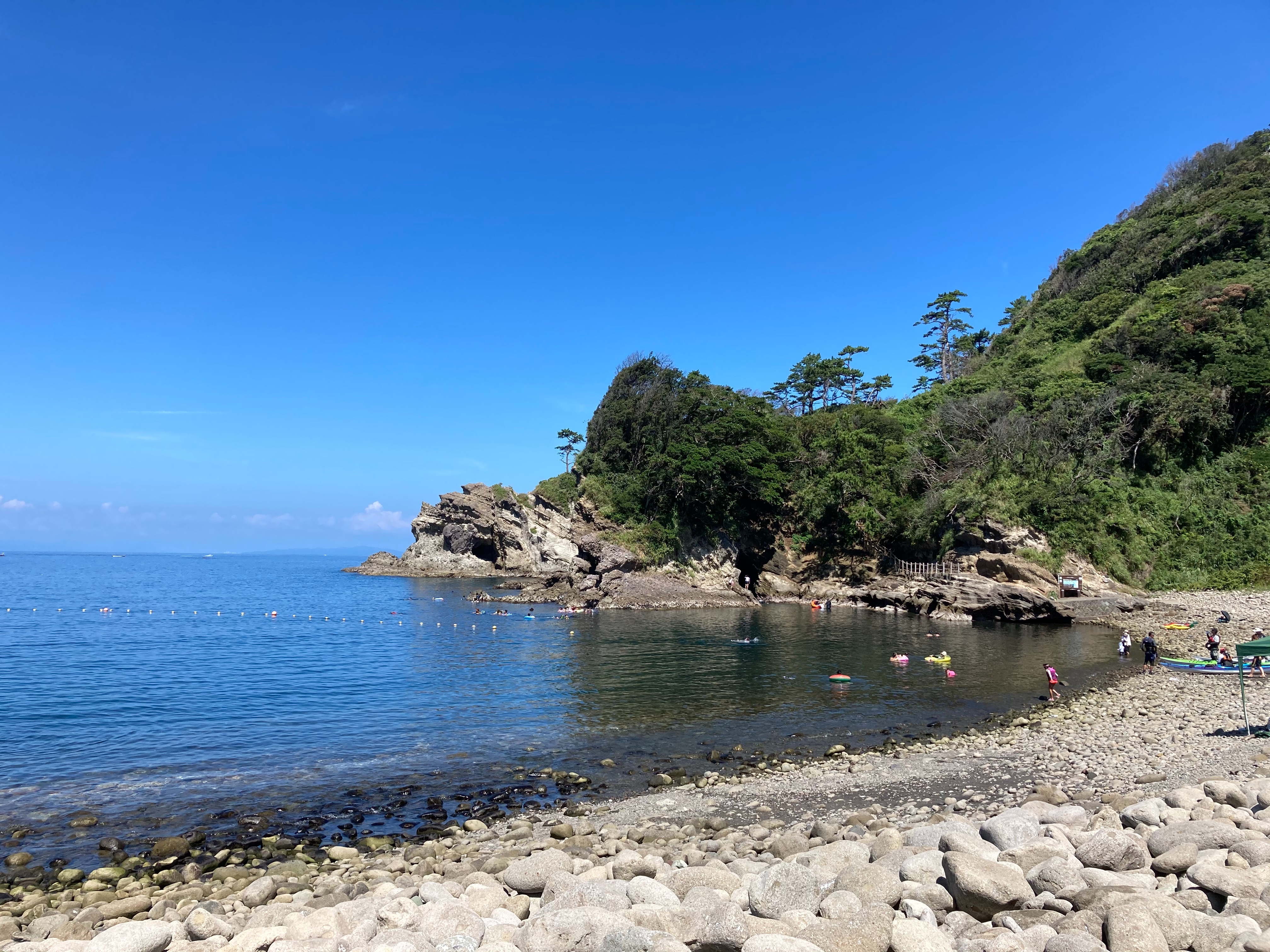 クラゲとの戦い 浮島海水浴場 ぴろこの日常