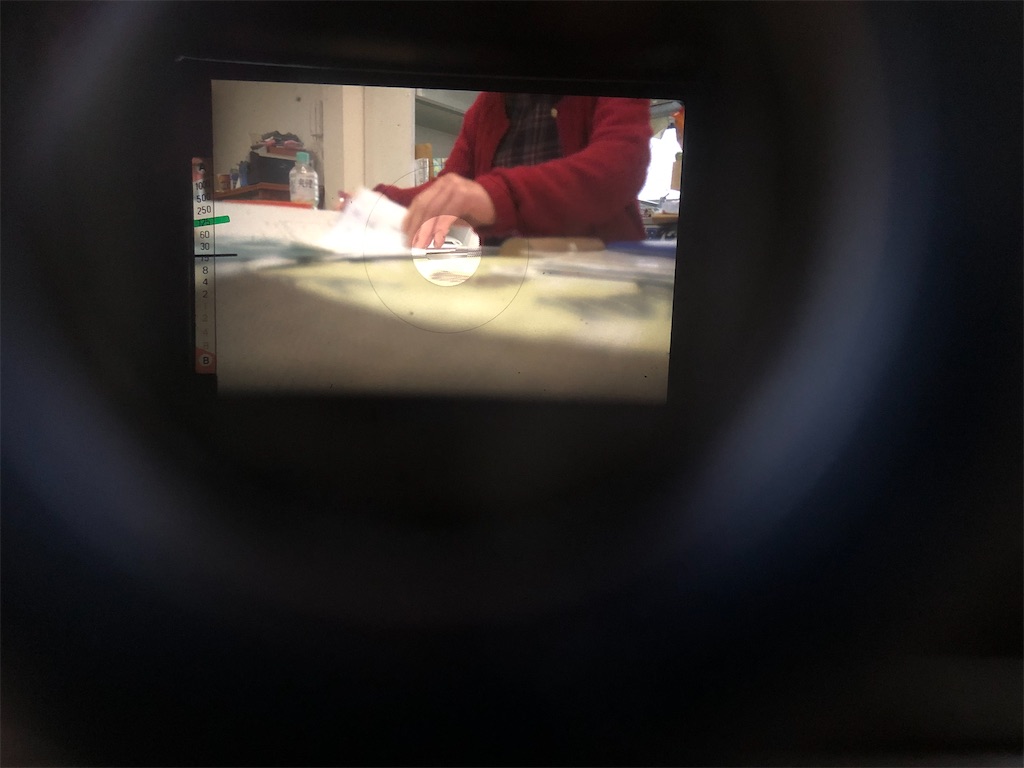 f:id:pirokogram:20220130115344j:image