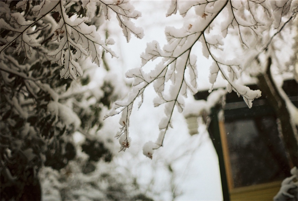 f:id:pirokogram:20220214002345j:image