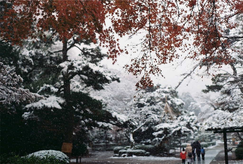 f:id:pirokogram:20220214002350j:image