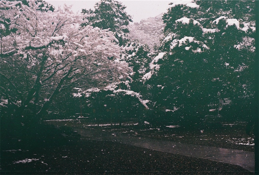 f:id:pirokogram:20220214002353j:image