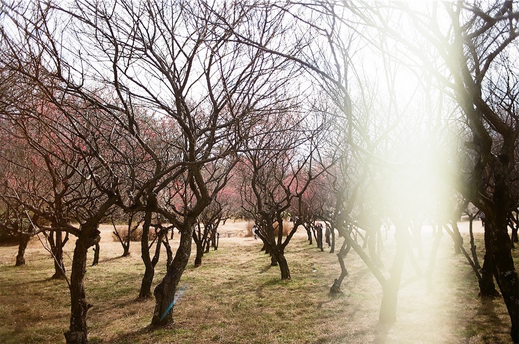 f:id:pirokogram:20220321162004j:image