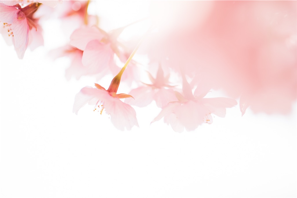 f:id:pirokogram:20220321162731j:image