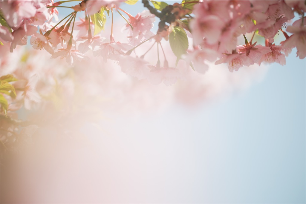 f:id:pirokogram:20220321162734j:image