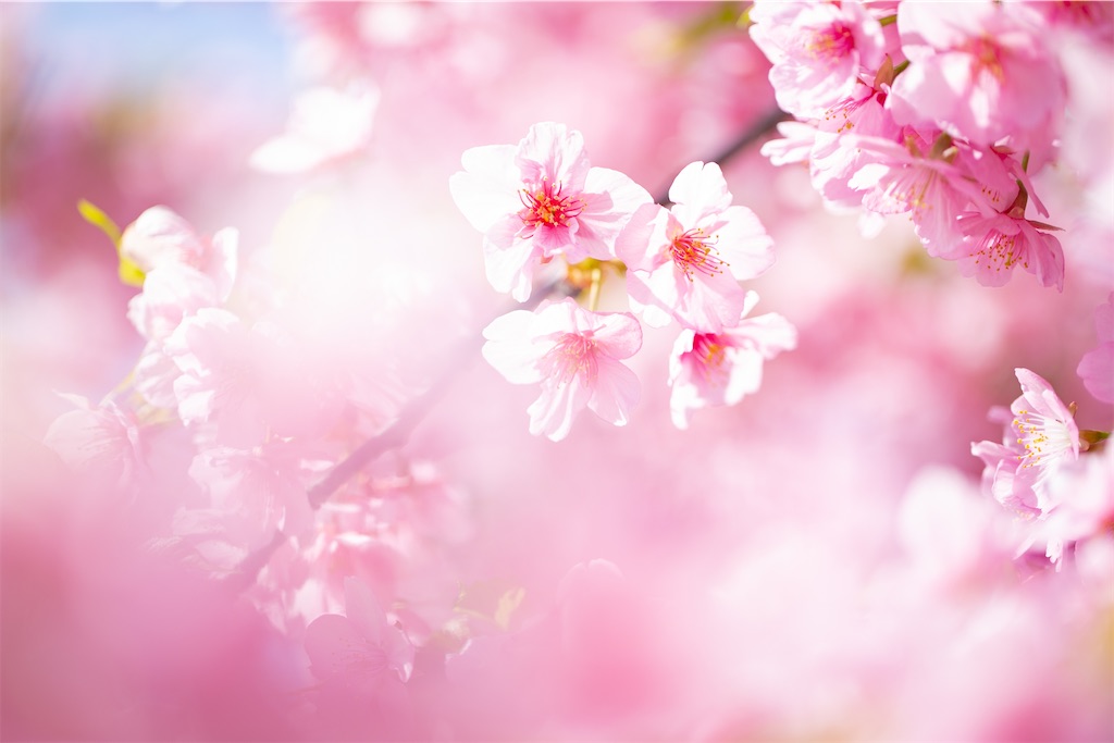 f:id:pirokogram:20220321162739j:image