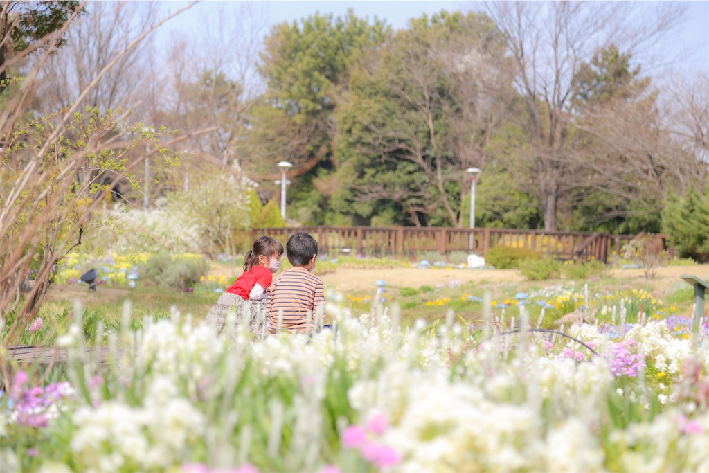 f:id:pirokogram:20220403211711j:image