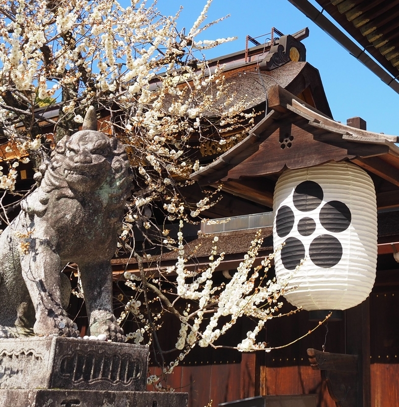 北野天満宮_ご神紋
