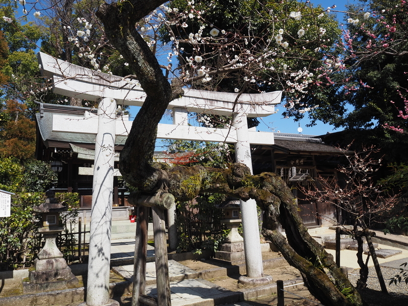 北野天満宮_竈社