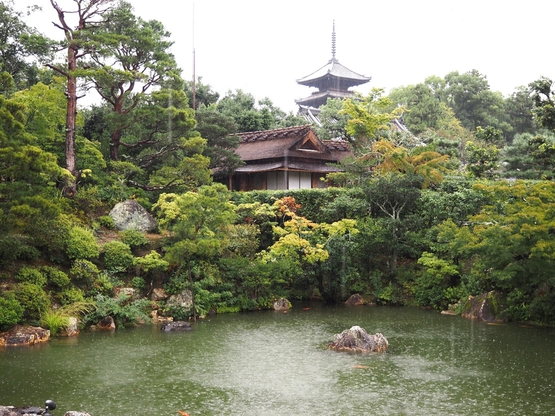 【京都・仁和寺】きぬかけの 水もしたたる 御所の庭|60歳からの御朱印めぐり〔005/541〕 - 541こ・む