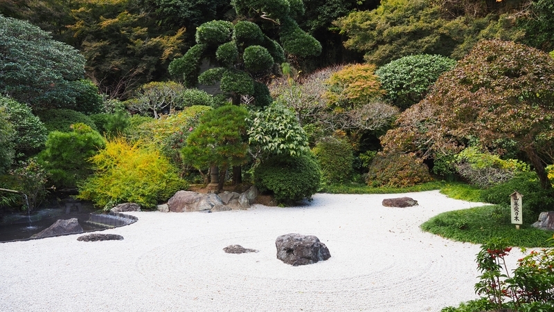 報国寺_枯山水