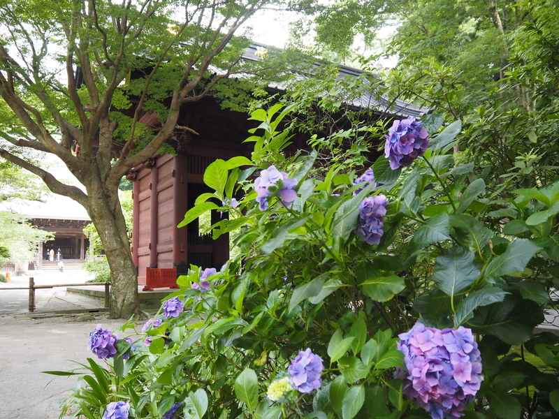 妙本寺_二天門