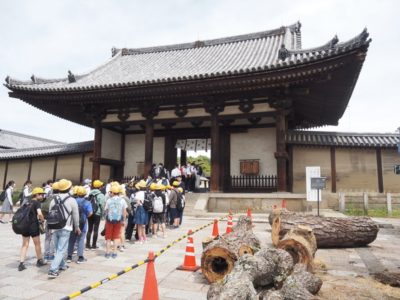 法隆寺_南大門