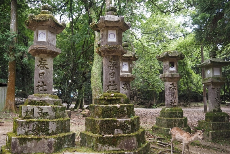 春日大社_燈籠