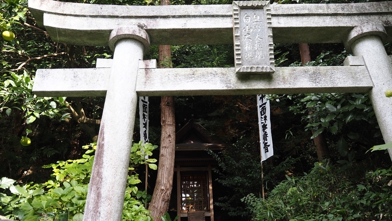杉本寺_権現堂