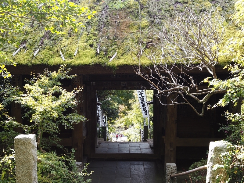 杉本寺_仁王門