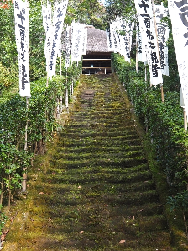 杉本寺_苔の石段