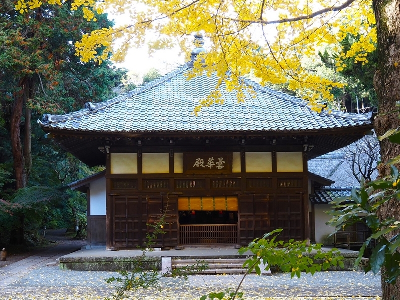 鎌倉・浄智寺】森深し ここは鎌倉 谷戸の寺 ｜60歳からの御朱印めぐり
