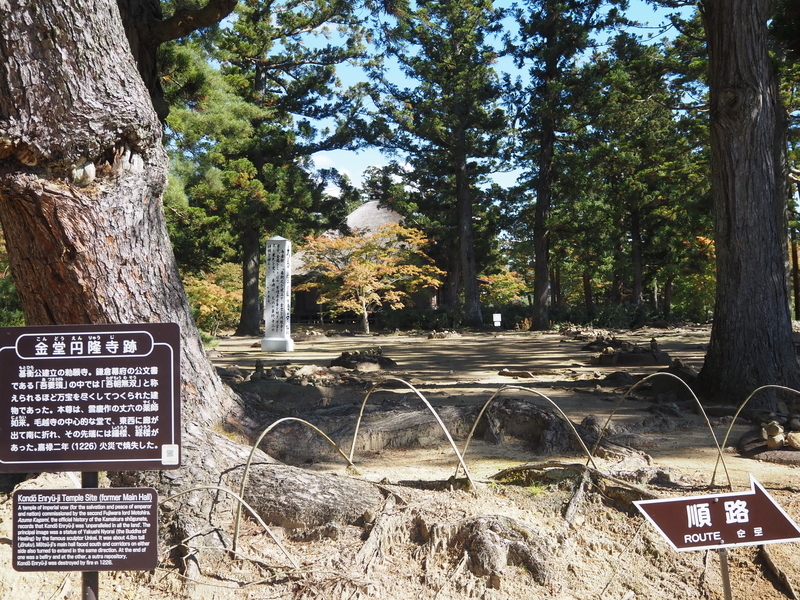 毛越寺_金堂円隆寺跡