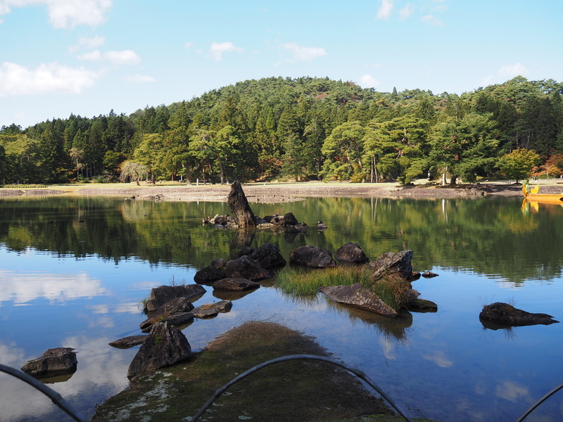 毛越寺_池中立石