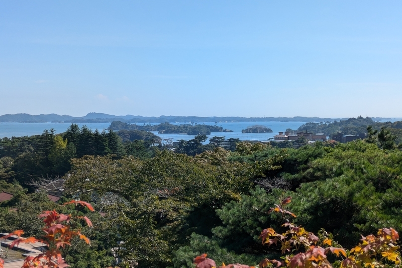 松島・新富山】松島や ひとり眺めて ご満悦 - 541こ・む