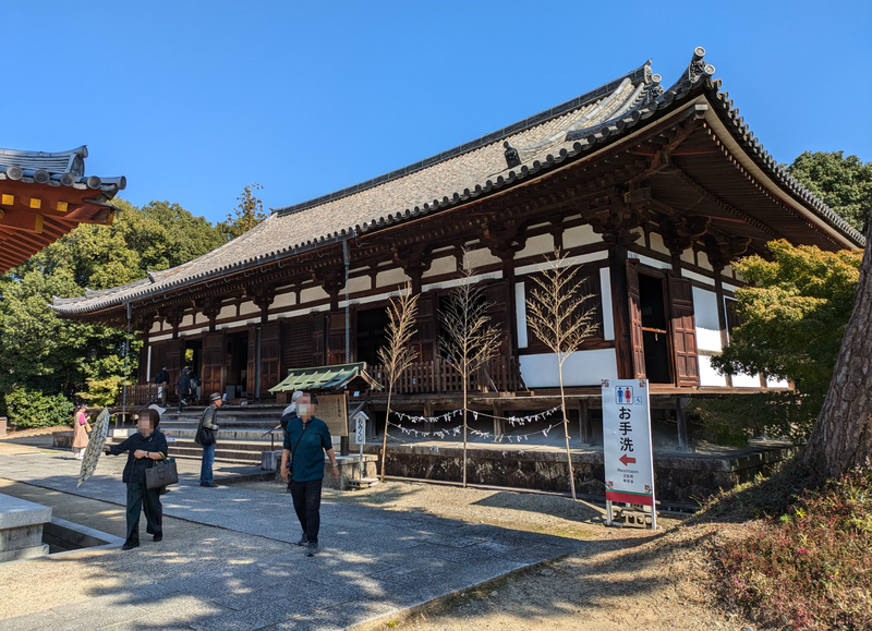 薬師寺_東院堂