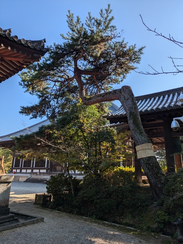唐招提寺_境内