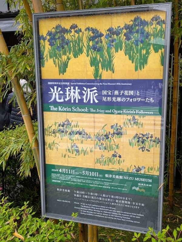 東京・根津美術館庭園】カキツバタ いずれ絵画か 実物か｜61歳からの
