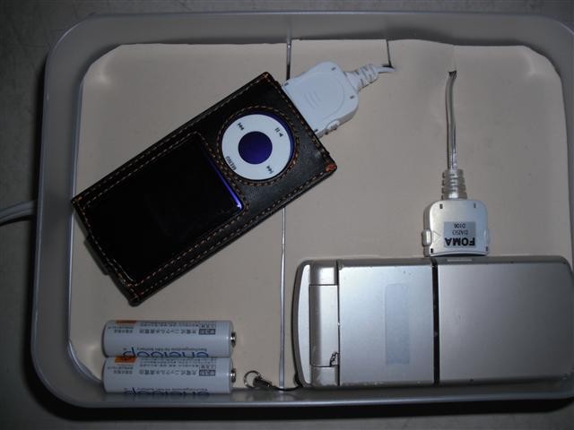 f:id:piropati:20100214153335j:image