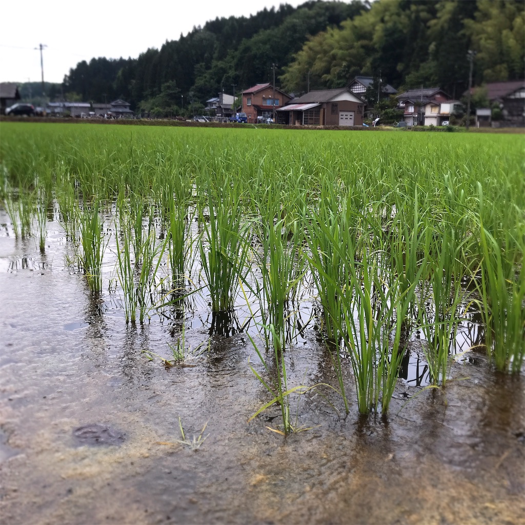 f:id:pirorin0613:20190611002628j:image