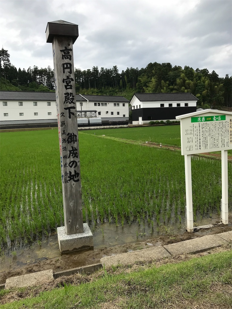 f:id:pirorin0613:20190611003138j:image