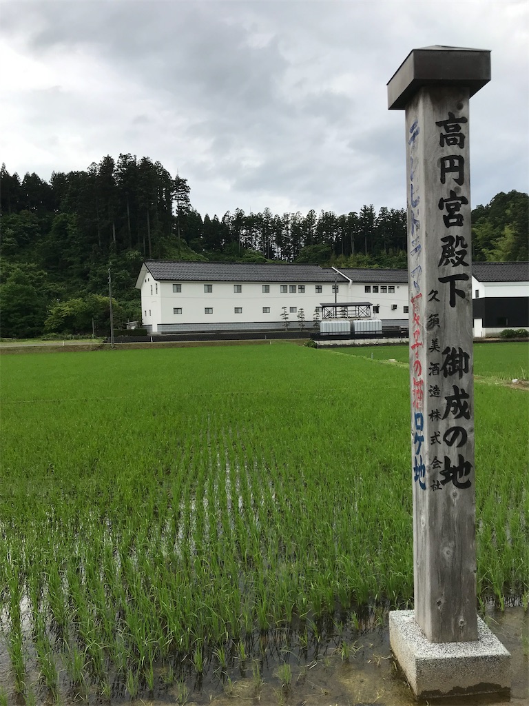 f:id:pirorin0613:20190618083245j:image