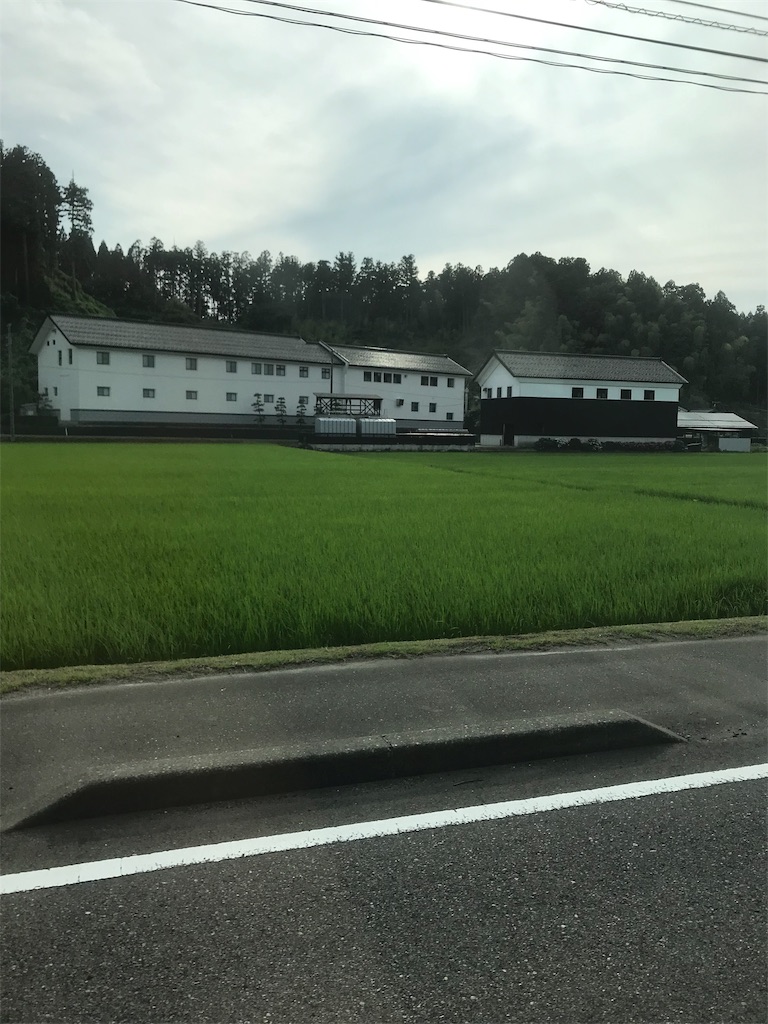 f:id:pirorin0613:20190711085934j:image