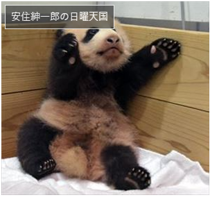 これは面白い 安住アナの パンダjapan とは 詳細はコチラ ぴろしきの 世の中の小さな楽しみ