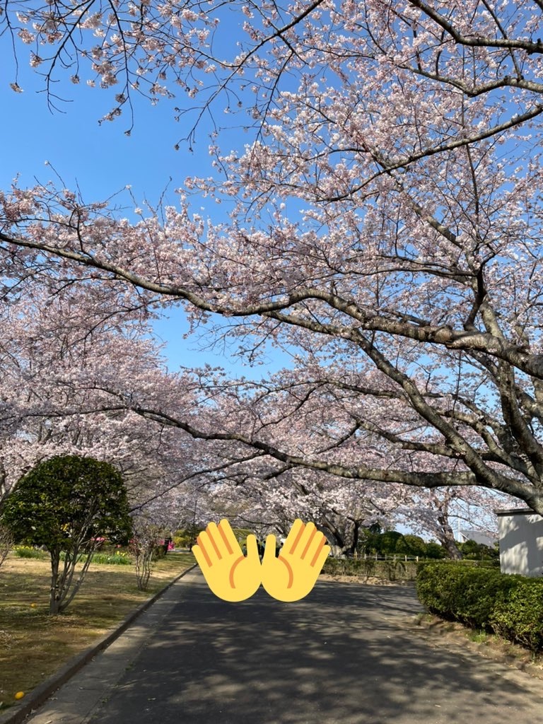 f:id:pisca:20220425213943j:image