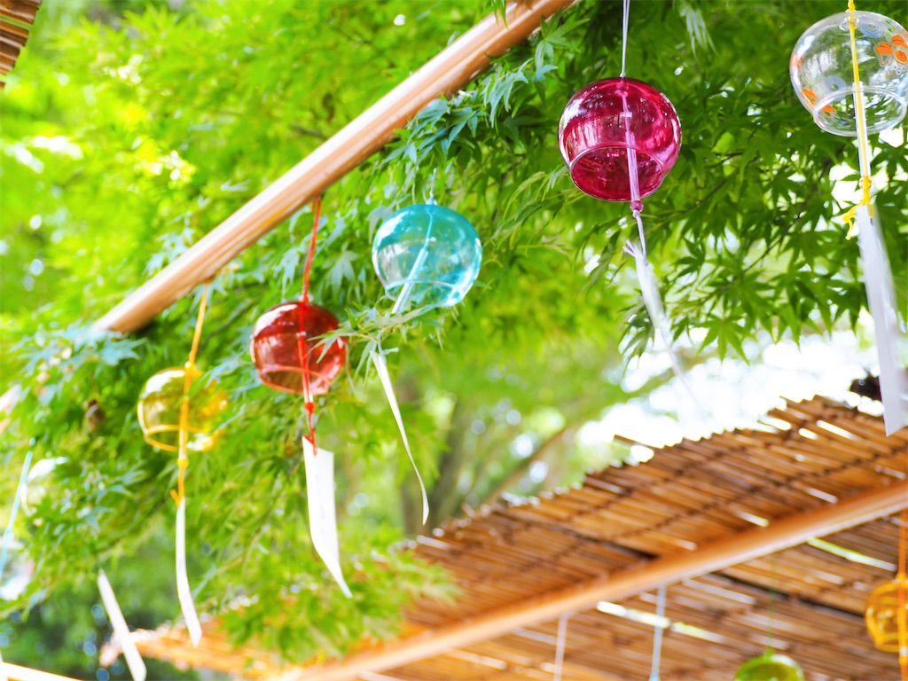 f:id:pisca:20220711231348j:image