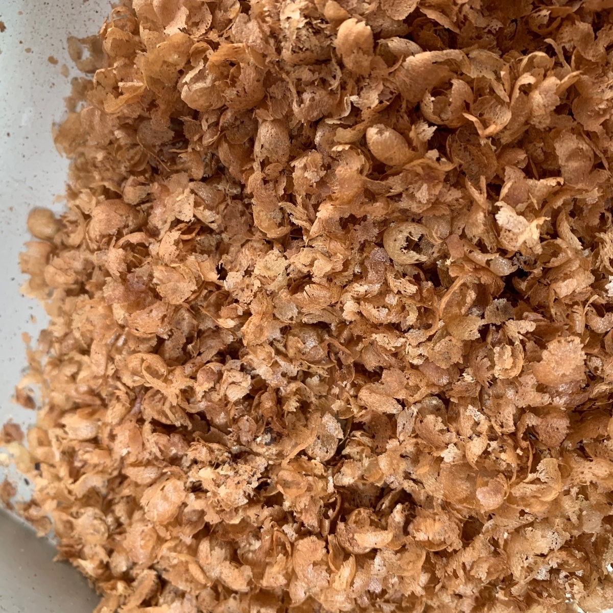 f:id:piscocoffee:20190331155247j:plain