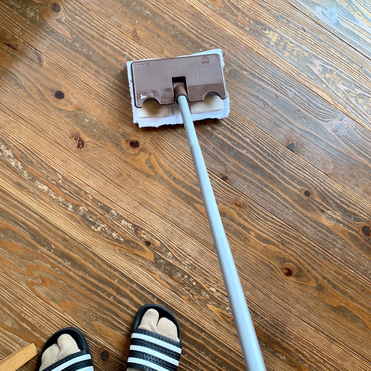 f:id:piscocoffee:20191023231217j:plain