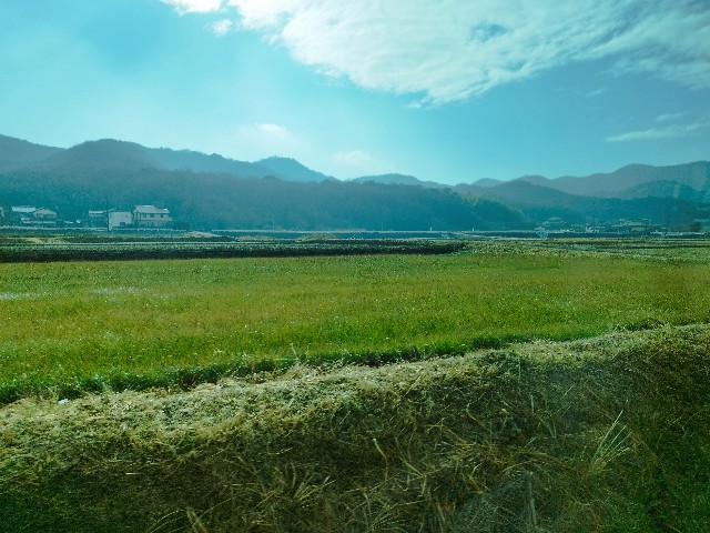f:id:pisuke9190:20230218222950j:image