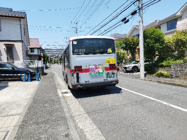 f:id:pisuke9190:20230528124030j:image
