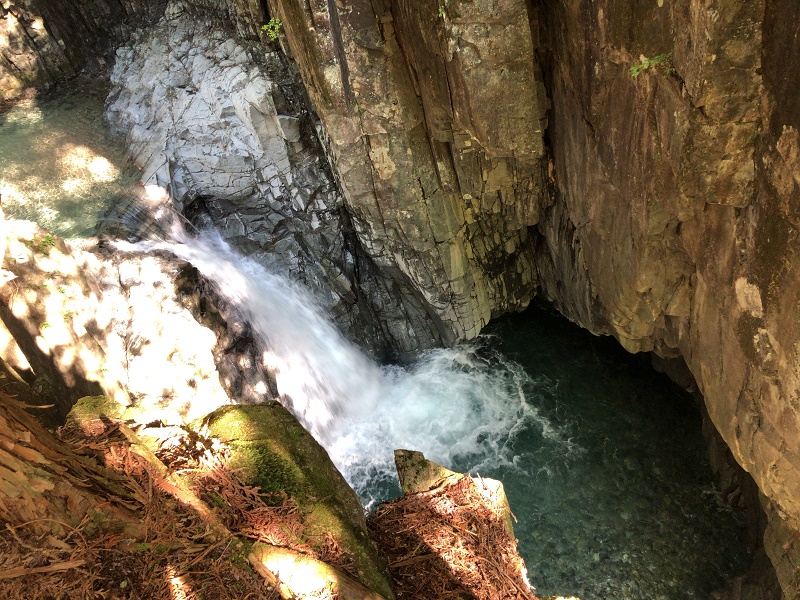 f:id:pisukechin:20190922120319j:plain f:id:pisukechin:20190922120319j:plain