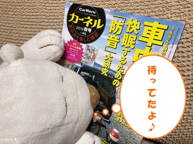 f:id:pisukechin:20191101190535j:plain