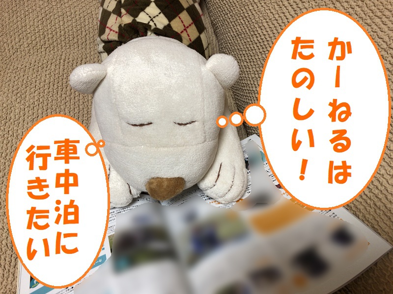 f:id:pisukechin:20191101190550j:plain