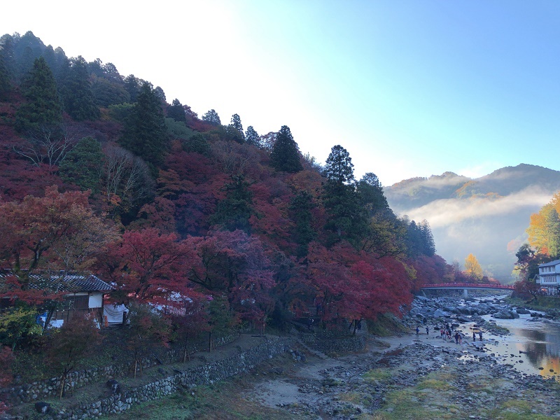 f:id:pisukechin:20191123215444j:plain f:id:pisukechin:20191123215444j:plain