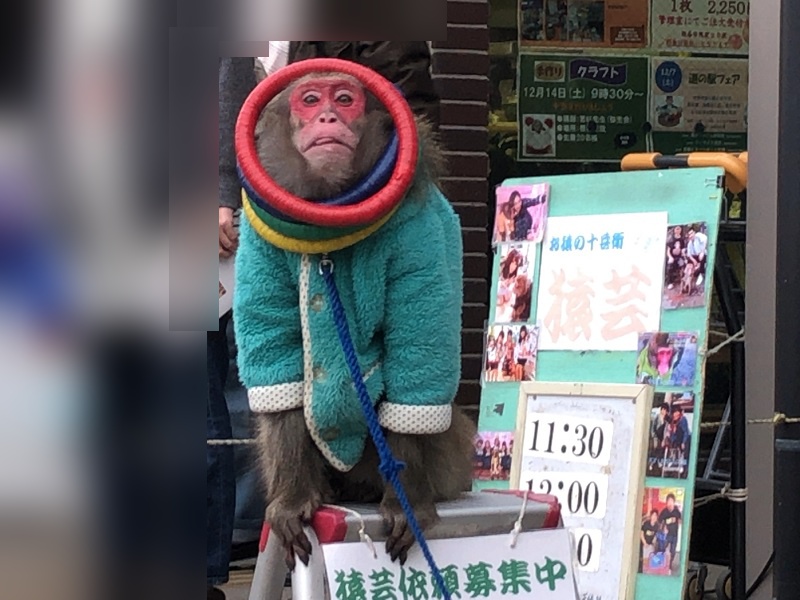 f:id:pisukechin:20191208081201j:plain f:id:pisukechin:20191208081201j:plain