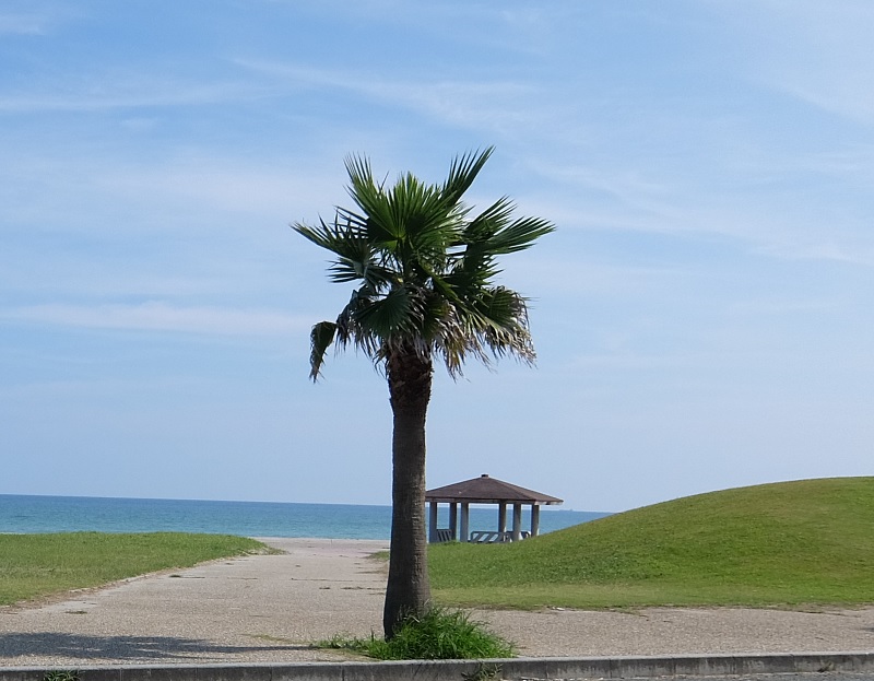 f:id:pisukechin:20200212091027j:plain f:id:pisukechin:20200212091027j:plain