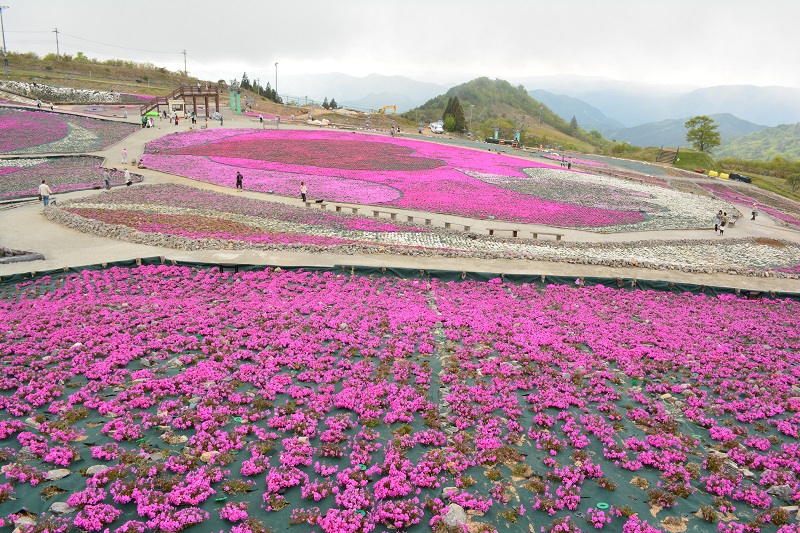 f:id:pisukechin:20200412084827j:plain f:id:pisukechin:20200412084827j:plain