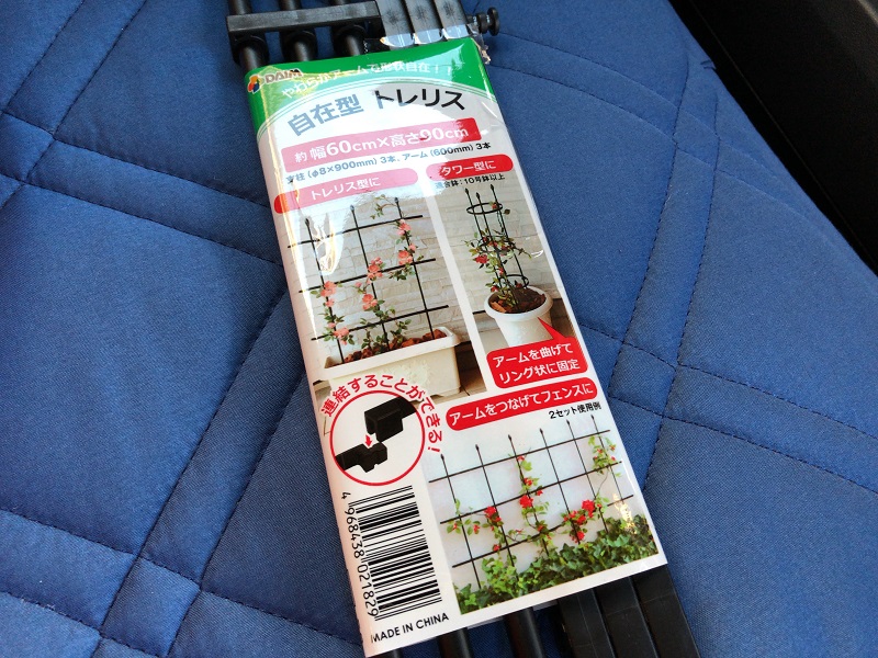 f:id:pisukechin:20200529150146j:plain f:id:pisukechin:20200529150146j:plain