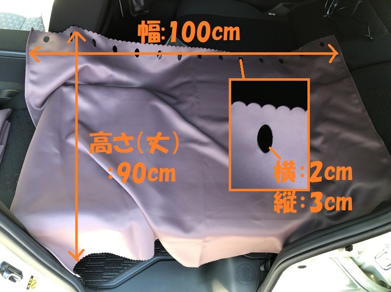 f:id:pisukechin:20200529150155j:plain f:id:pisukechin:20200529150155j:plain