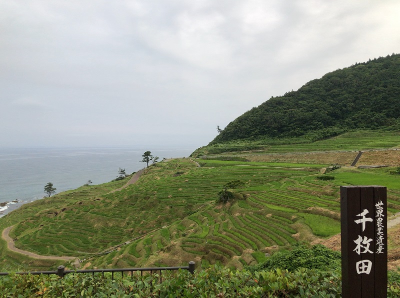 f:id:pisukechin:20200704013354j:plain