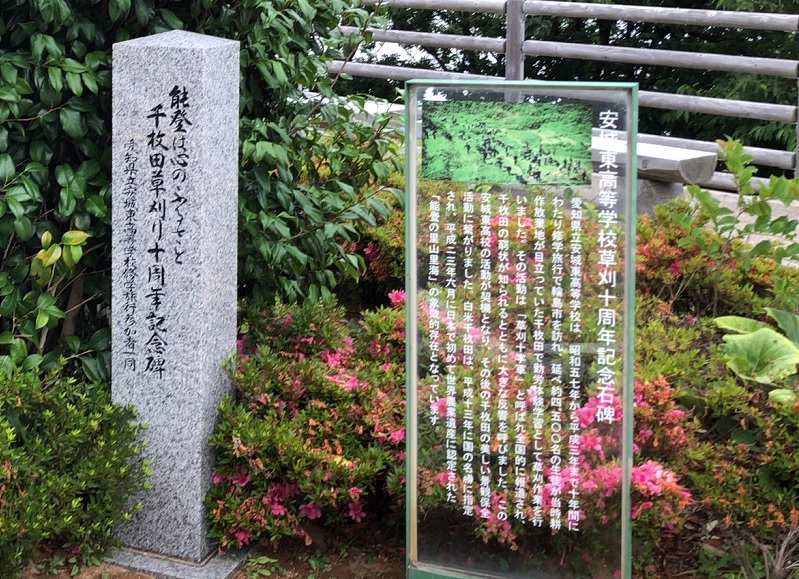 f:id:pisukechin:20200704013403j:plain